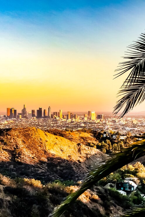 Показать полноэкранное фото от хозяина