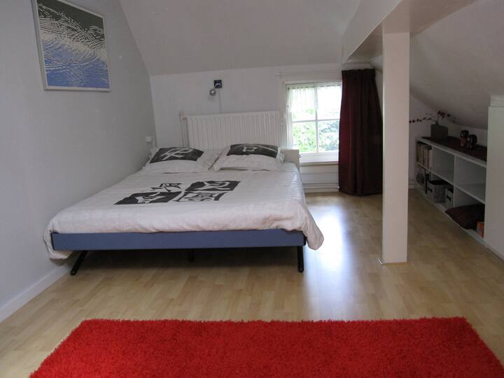 Tweepersoonskamer met badkamer op de begane grond. Deze badkamer hoeft u nooit te delen met vreemde gasten. Mocht u de eenpersoonskamer bijboeken, dan is dit een gedeelde badkamer.