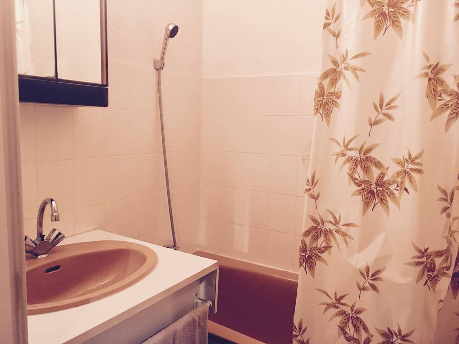 Salle de bain avec baignoire