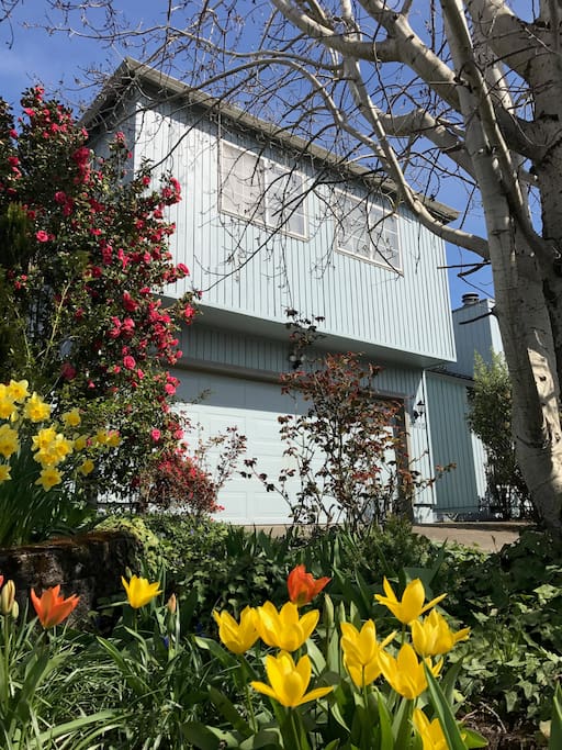 Abundant flowers surround our home.