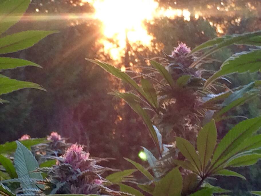 Enjoy the landscape of Oregon!