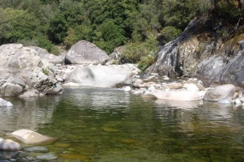 Vue de la rivière située à 1 km
