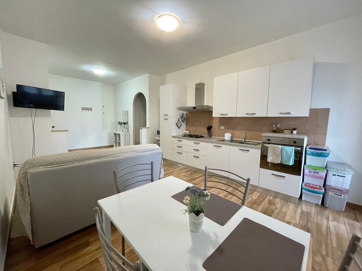 An open-concept living space is presented, featuring a modern kitchen with white cabinetry and stainless steel appliances. A dining table with four chairs is positioned beside the kitchen. A comfortable sofa is visible in the living area, with a wall-mounted television in view.