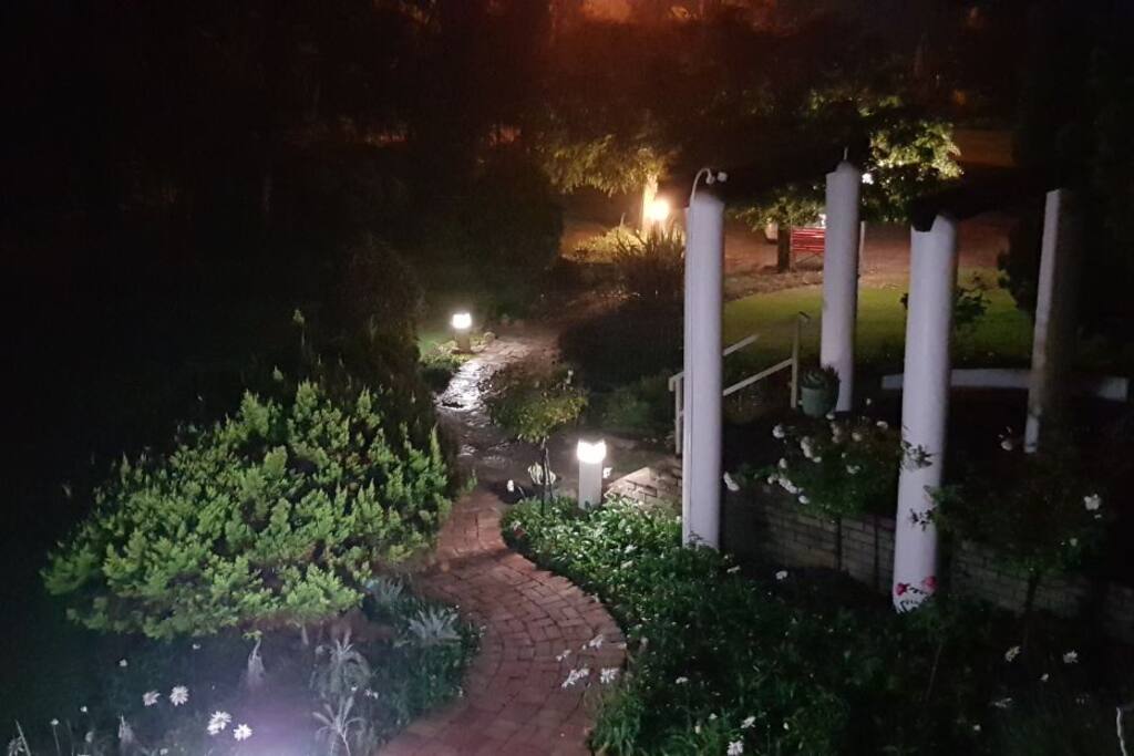 Pathway at night