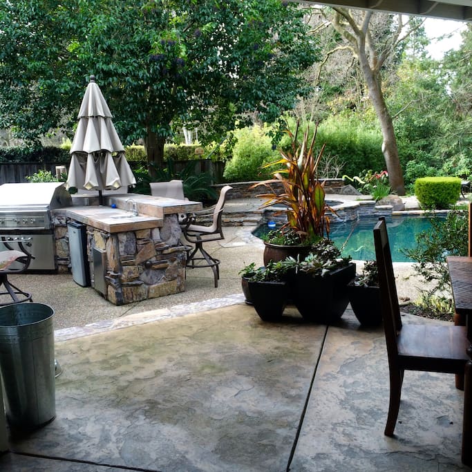 Outdoor kitchen (BBQ, sink, fridge)