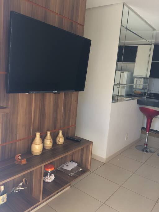 Televisão