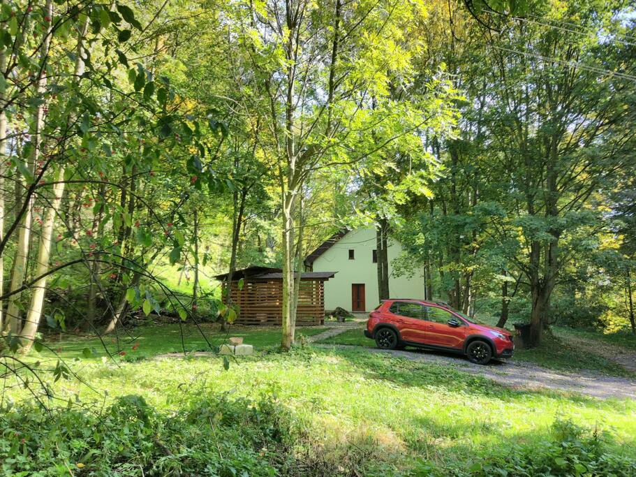 Summer view