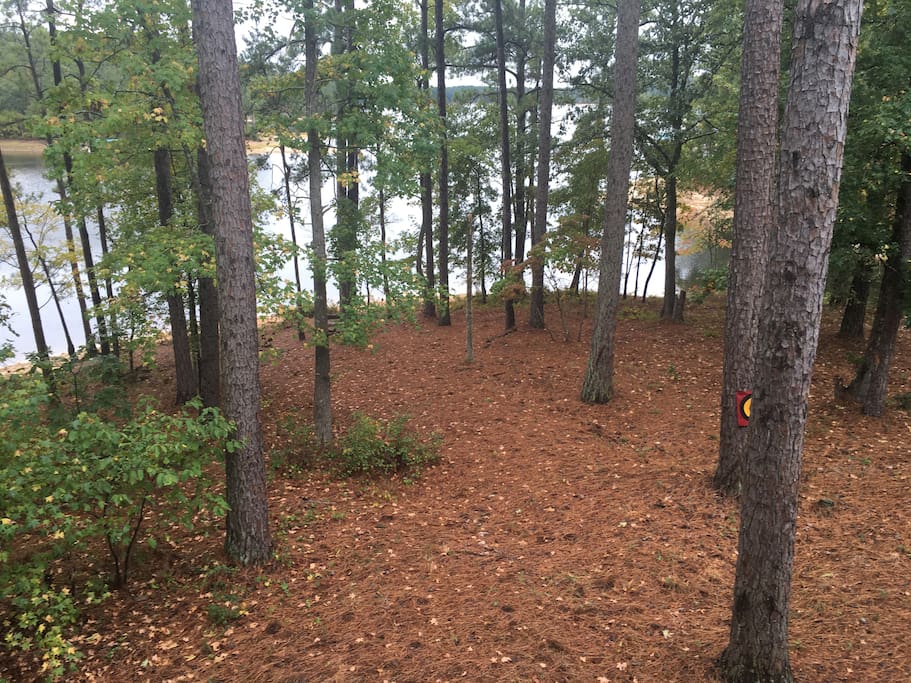 Backyard / Lake