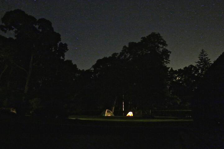 Watch Buster`S Mal Heart HIGH Quality Definitons