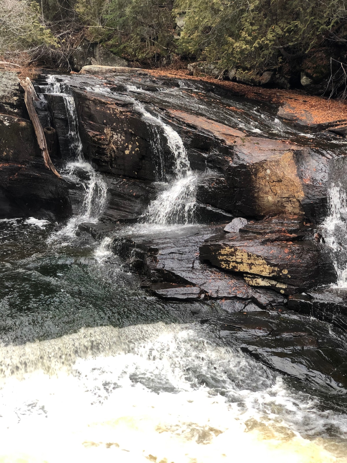 A cascading waterfall flows over rocky terrain, with clear water tumbling down a series of ledges. Surrounding vegetation provides a natural border, while fallen leaves add texture to the scene. The play of light and shadow enhances the rugged beauty of the water's movement.