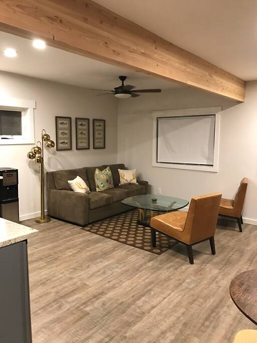 Living room (Pull out sofa with memory foam mattress)