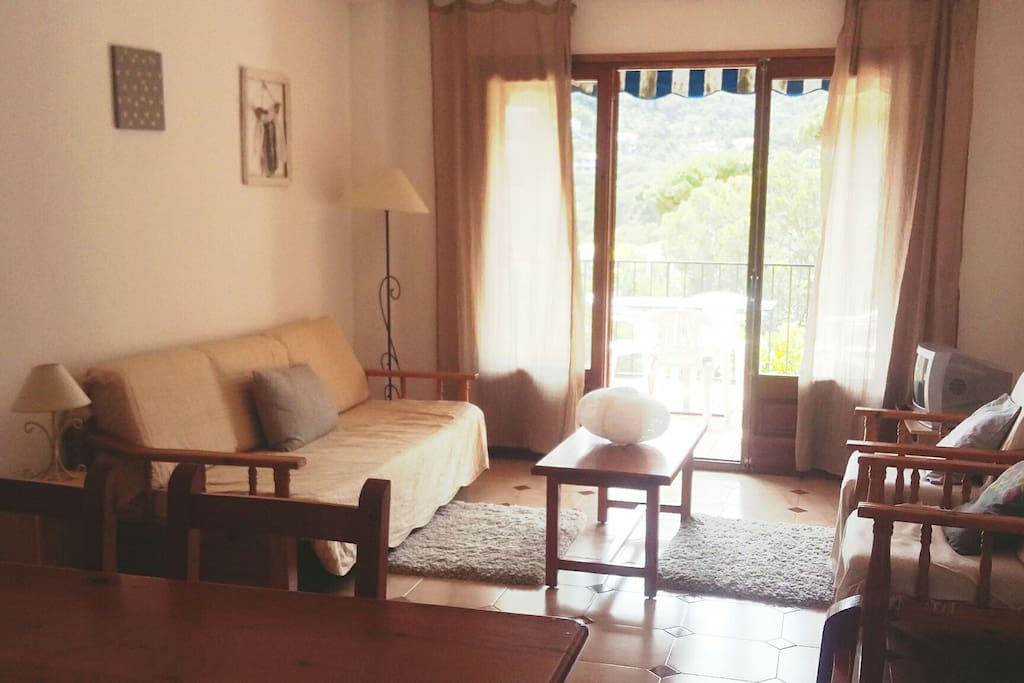 salon donnant sur terasse