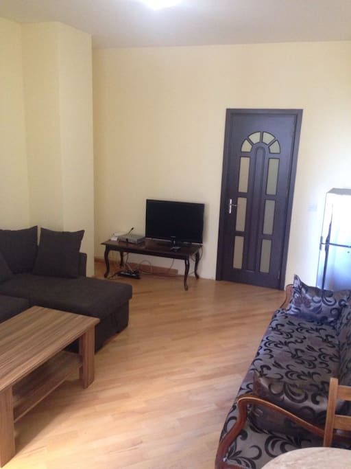 Living Room with sofa bed