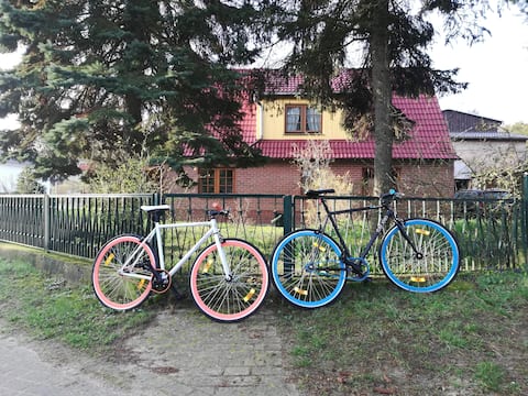 Erfolgreiche Airbnb-Immobilie: Vacation home at Mühlenberg in Benz