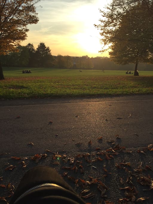 The beauty of Primrose hill park which is only 200 meters away .