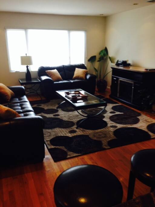furnished living room - leather set