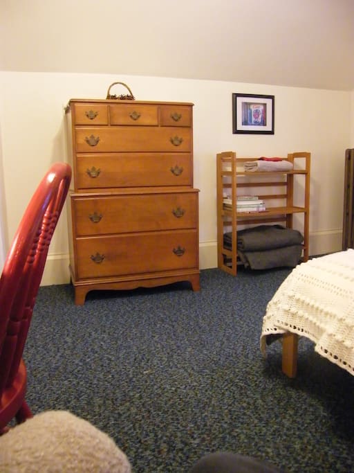 Dresser and bookcase for your belongings.
