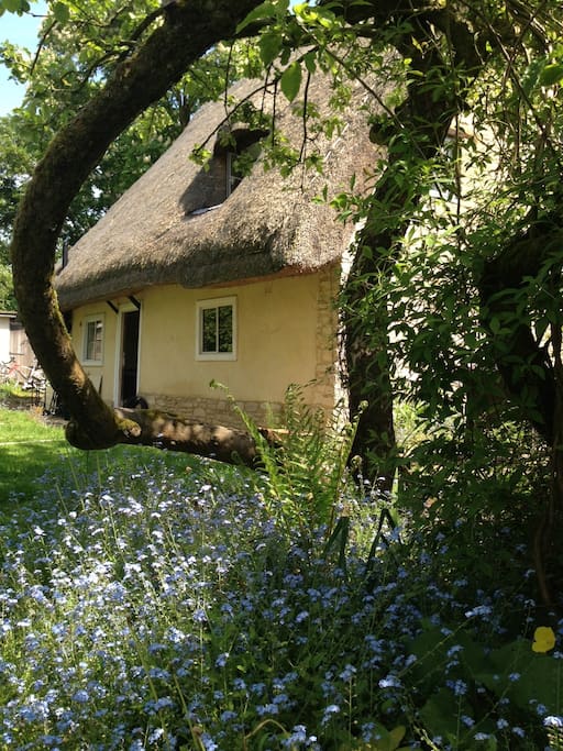 The back door through the apple tree