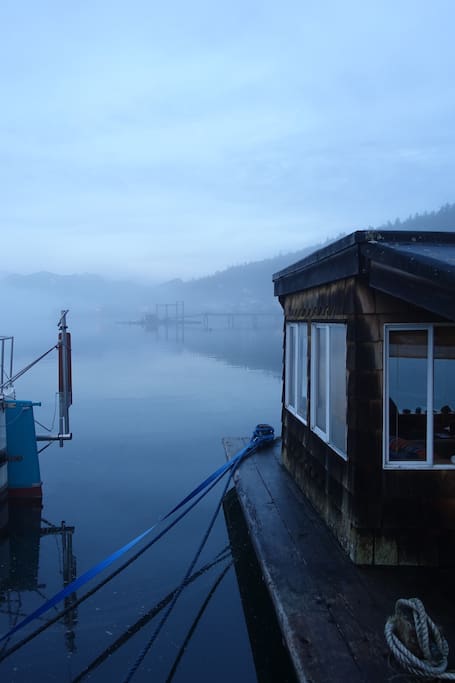 Fog off the back deck