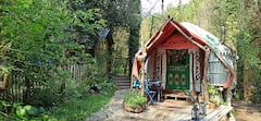 Bunnies+yurt+woodland+setting+by+stream+%26+garden