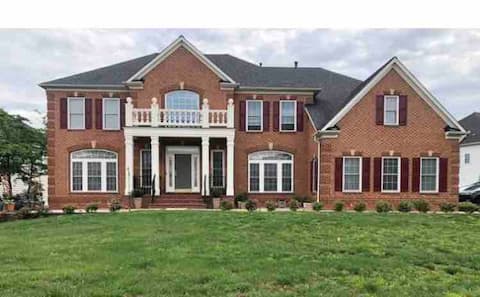 Spacious walkout suite