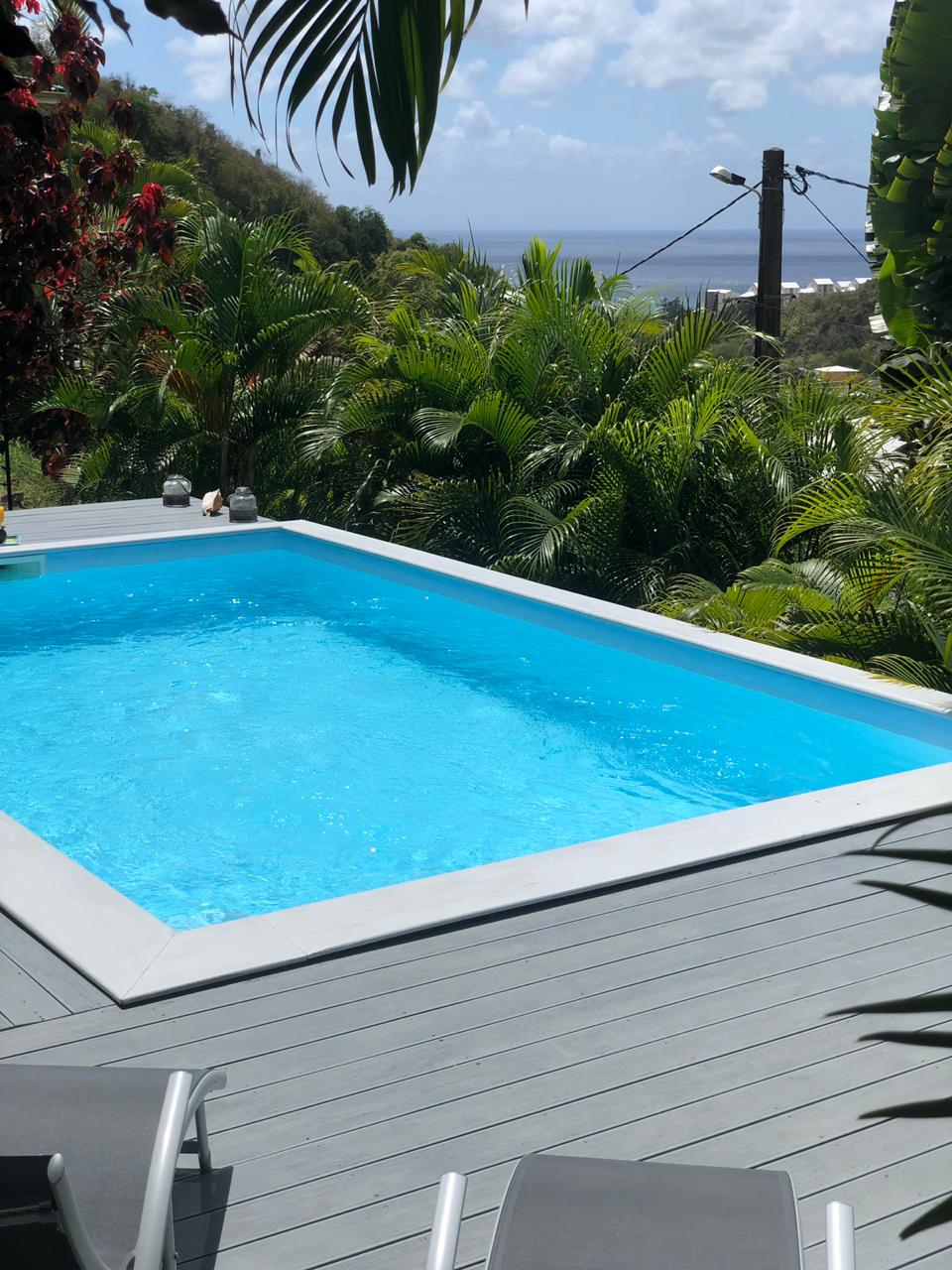 A refreshing salt-water pool, surrounded by lush greenery, provides a serene setting. The clear blue water is complemented by a modern deck, perfect for relaxation. The view beyond showcases a distant seascape, enhancing the tranquil atmosphere of the space.