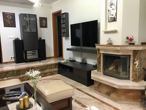 Successful Airbnb property: Vila Borina in Софийска