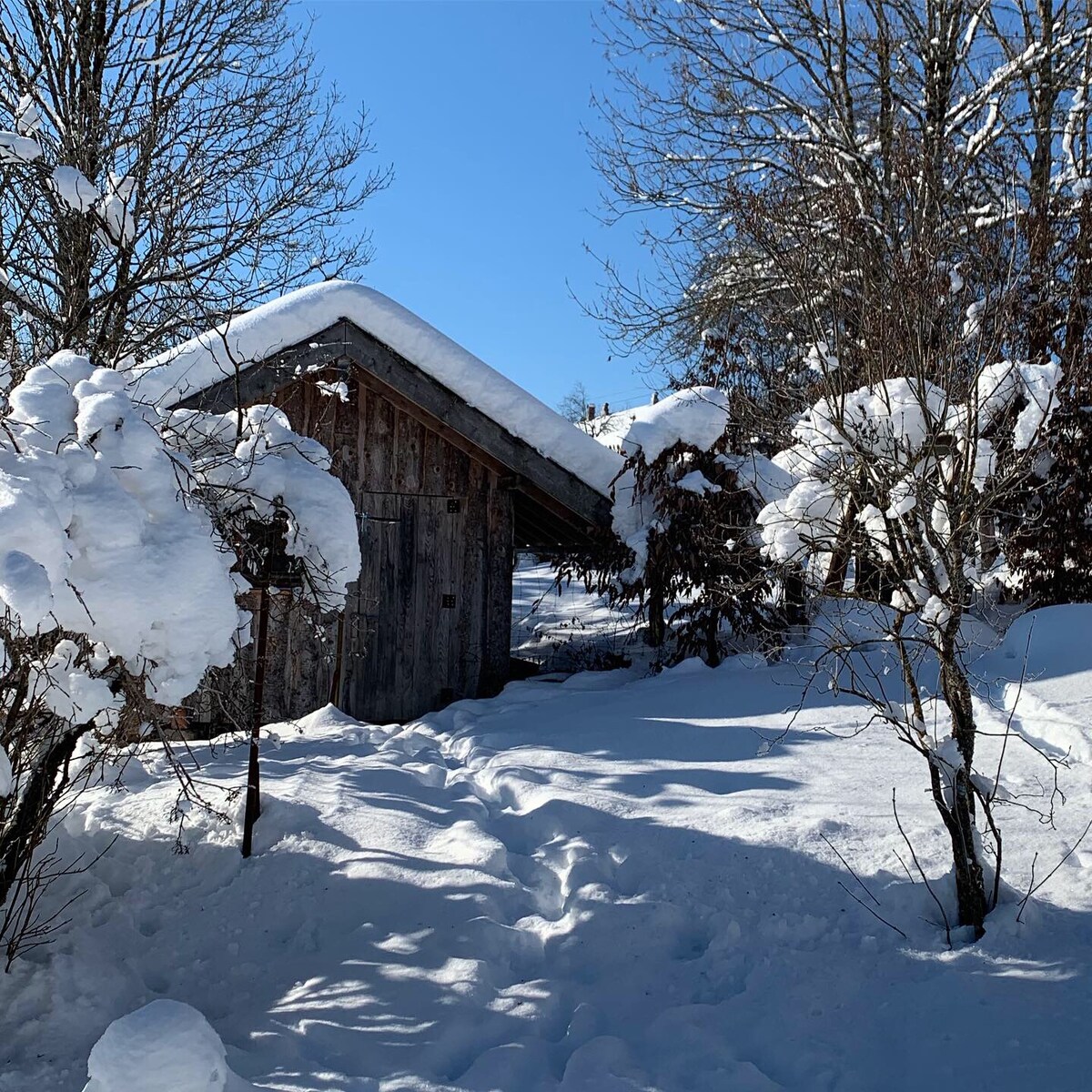 A rustic wooden structure is partially visible under a blanket of snow. The surrounding area features snow-covered trees and a clear blue sky. Footprints create a path through the snow, leading towards the building.