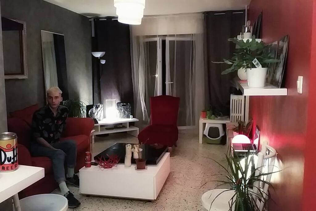 Entrée + Salon
