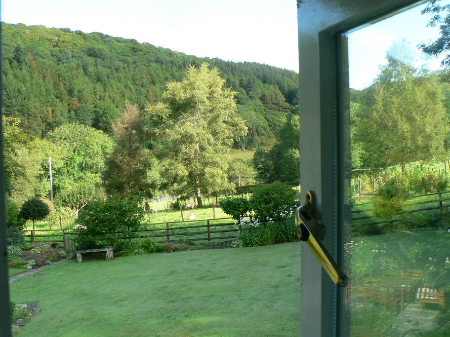 View from Annexe northwards