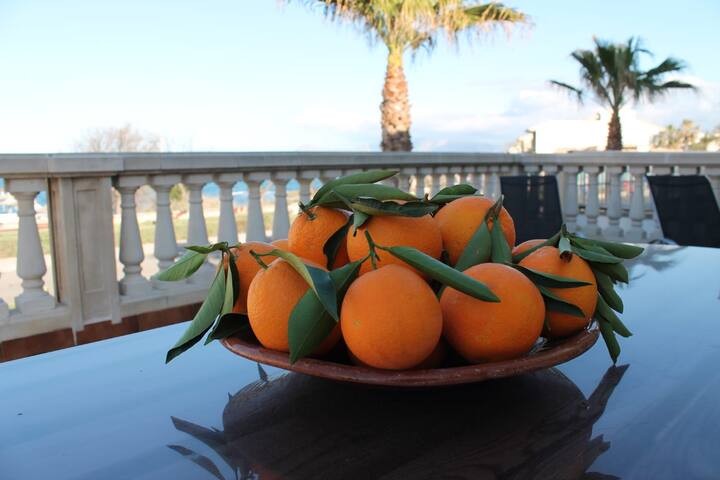 Get Platja de sorra blanca joc de dormitori For Android Free Platja De Sorra Blanca Joc De Dormitori