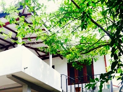 A charming structure is framed by lush green foliage, allowing dappled sunlight to illuminate the exterior. The two-story building features a balcony with a railing, complemented by large windows that add a touch of openness.