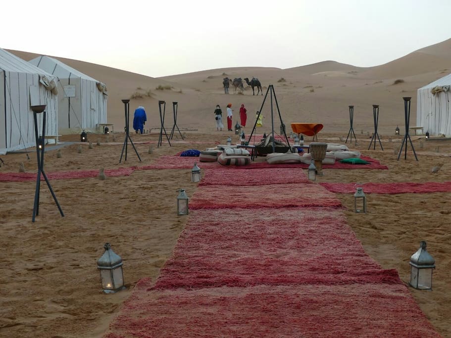 A view of camp with guests and Happy camels