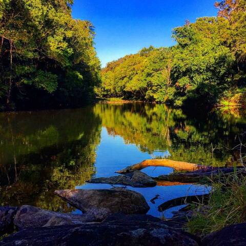 OBI OBI HOMESTEAD – Farmhouse Retreat gallery image 5