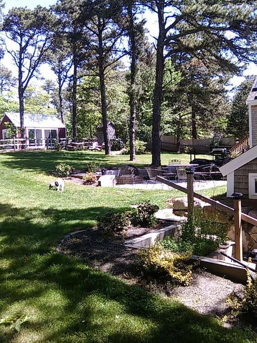 Firepit and Patio common area
