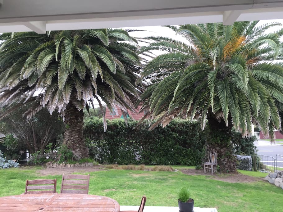 Twin palms at the front of the property