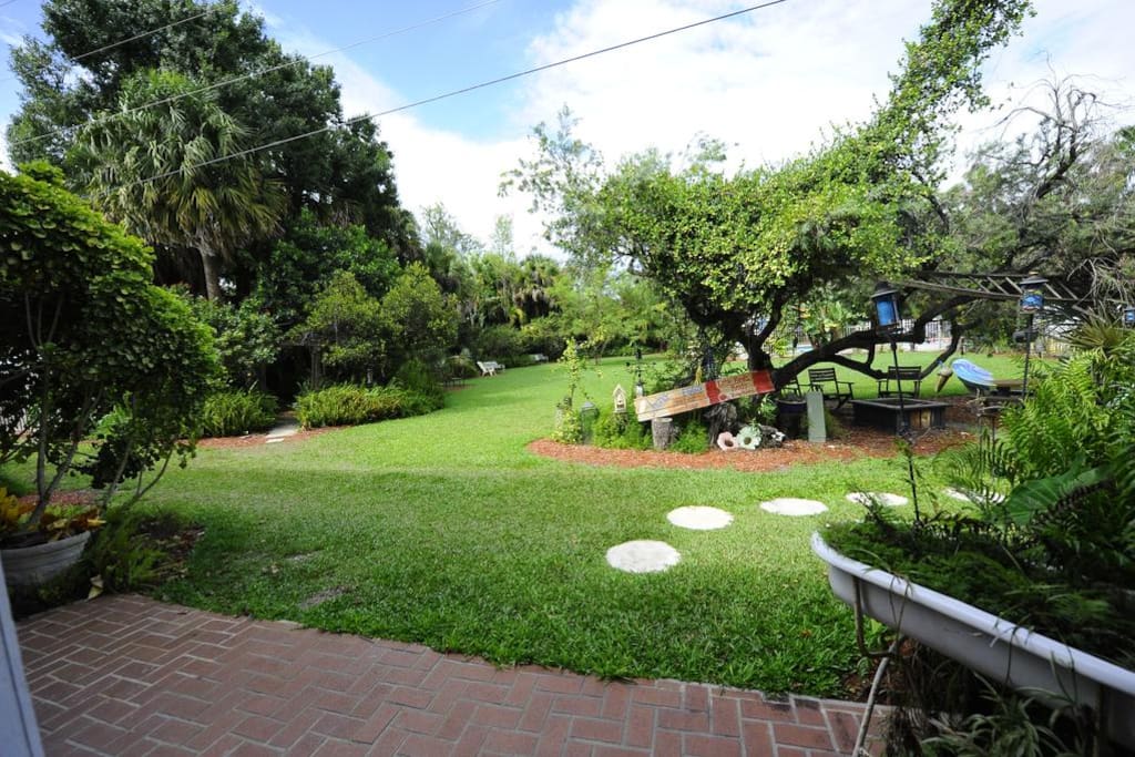 Back yard view