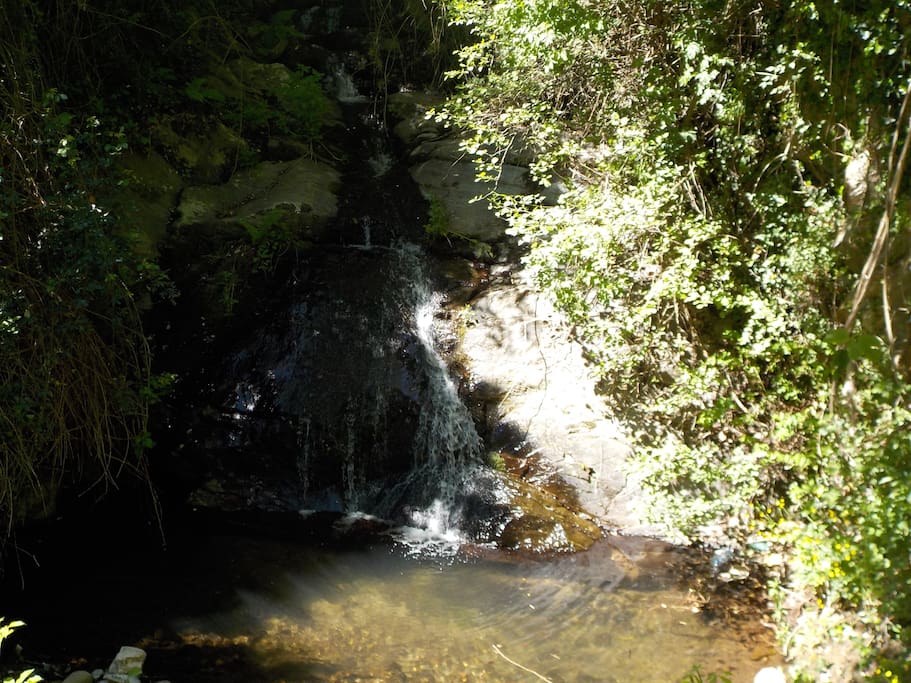 le bruit de la rivière en fond sonore