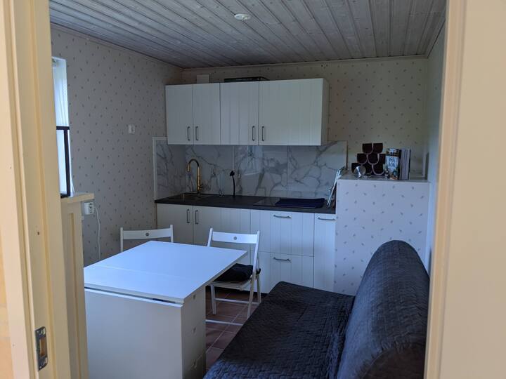 Keuken en slaapkamer met slaapbank, eerste links