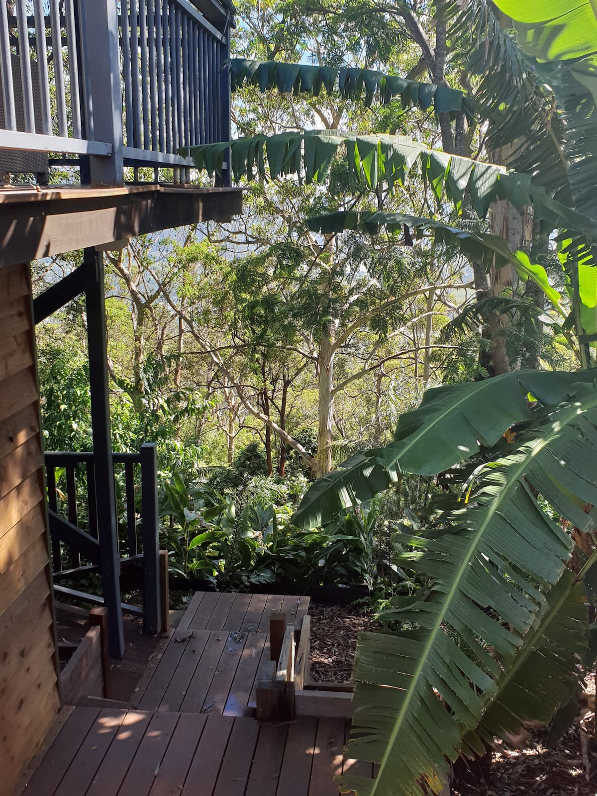Mt Tamborine Studio — photo via the host's Airbnb listing