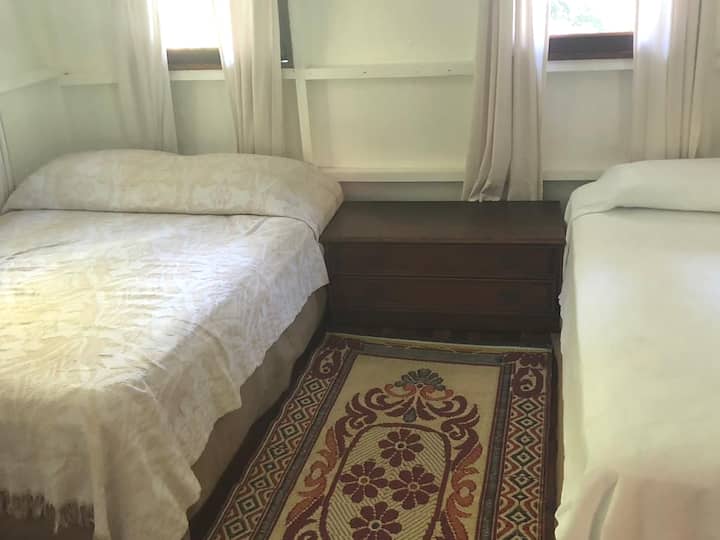 Wake up with the sounds of tropical birds and howler monkeys in the distance to start a great day in nature.