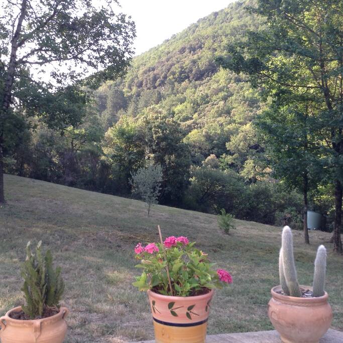 View of garden