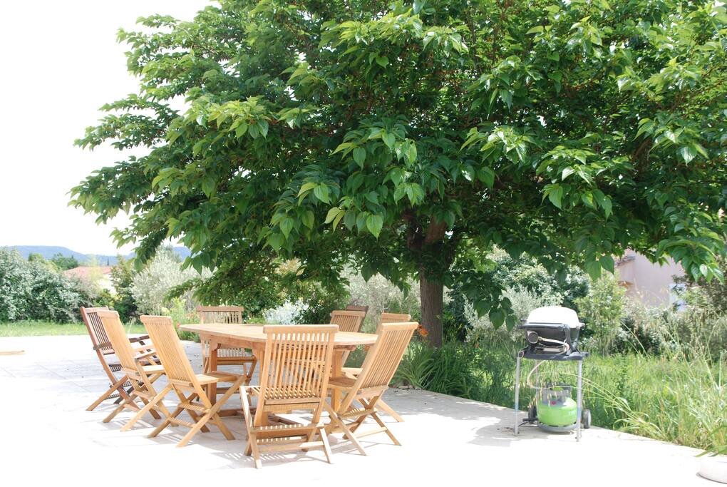 terrasse ombragée par le murier