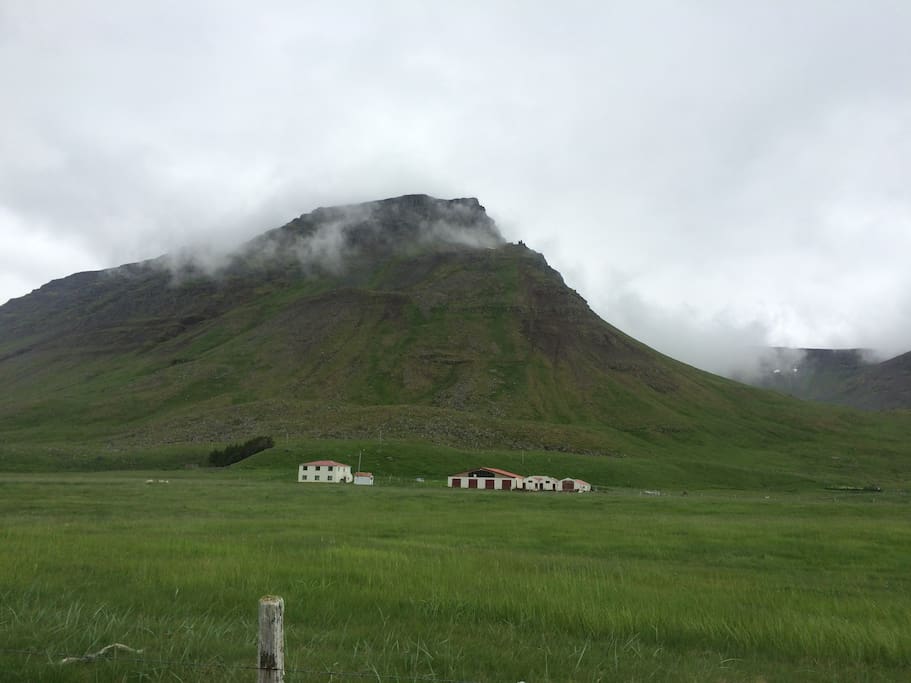 Sæból Farm