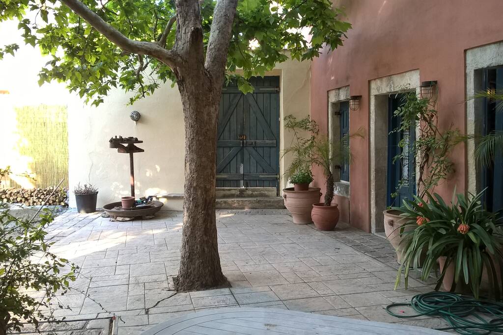 Aυλή με πλάτανο και κυρία είσοδο/main entrance and platanus tree