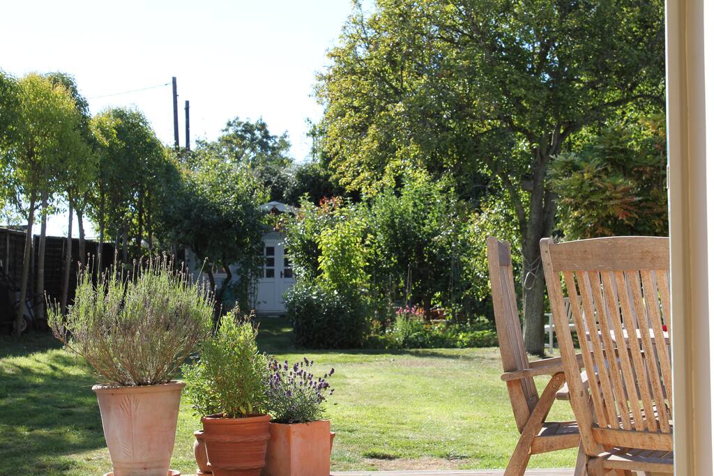 Back Garden
