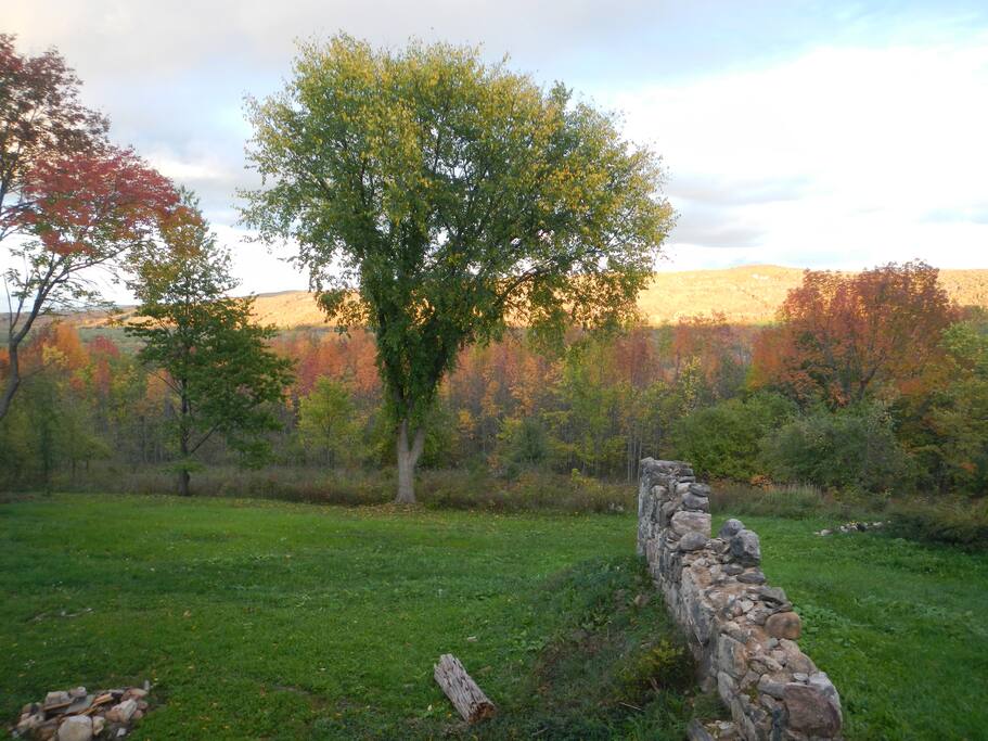 Fall colours