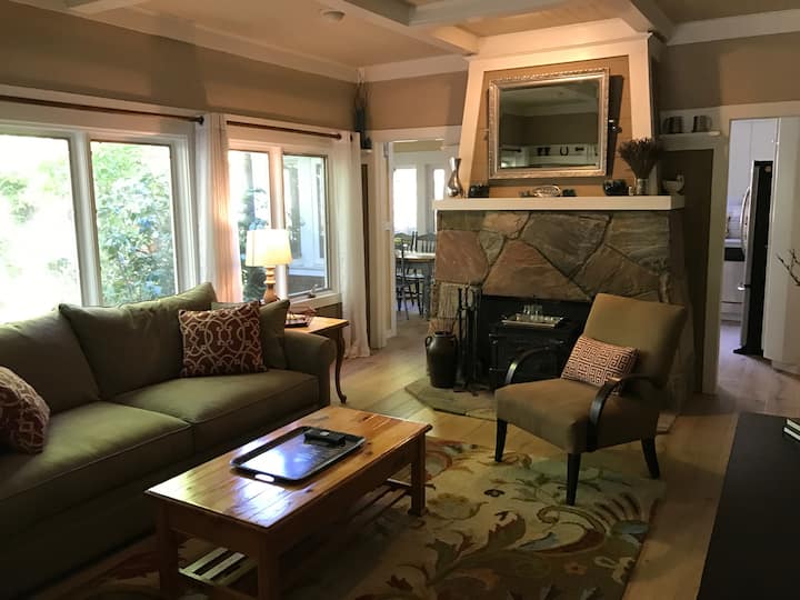 Dnevni boravak s plinskim kaminom
