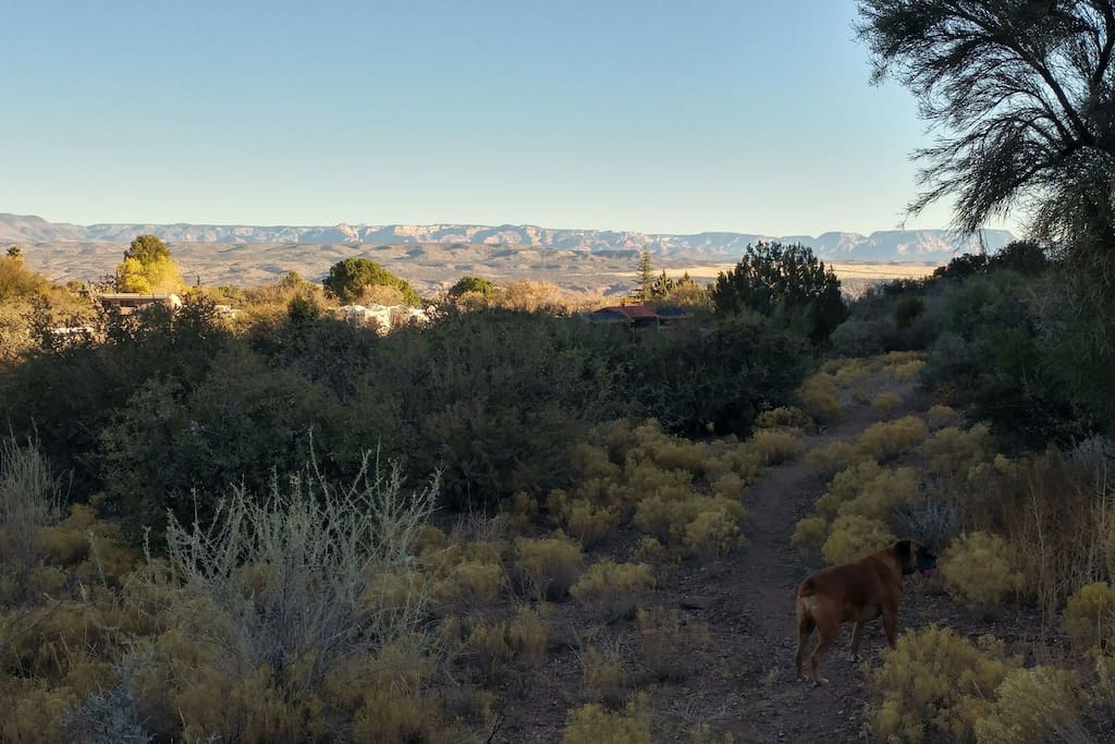 A view of one of the very near hikes across the street.
