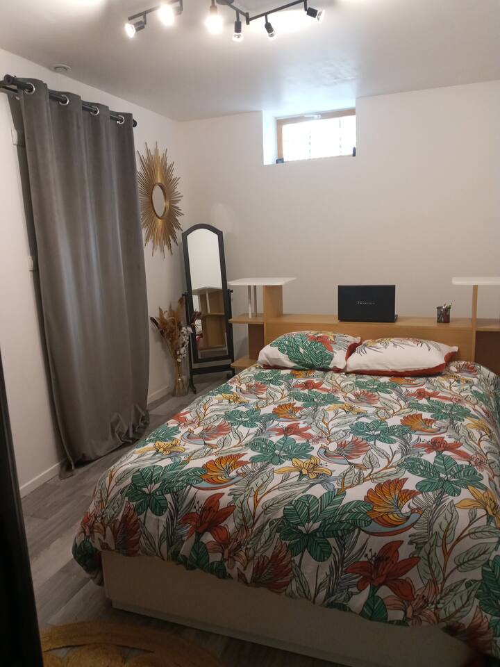 Comfortable and spacious apartment in the town center